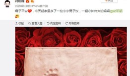 赵丽颖的宝宝是冯绍峰的吗 奉子成婚的感情能有多坚定
