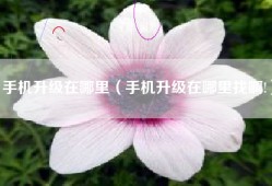 手机升级在哪里（手机升级在哪里找啊!）