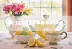 手机误删找回（手机 误删 恢复）
