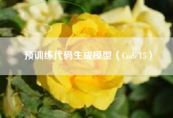 预训练代码生成模型（CodeT5）