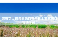 蓝莓可以直接吃吗蓝莓手机「蓝莓可以直接吃吗」