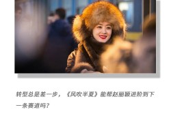 《风吹半夏》之后，赵丽颖迈向85花之首？