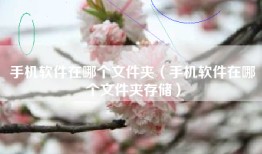 手机软件在哪个文件夹（手机软件在哪个文件夹存储）