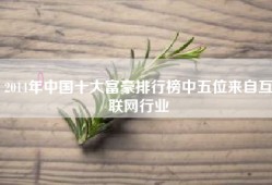 2014年中国十大富豪排行榜中五位来自互联网行业