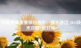 抖音登录需要核对身份一直不通过 2024技术攻略!(超好用)