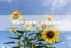 新媒体营销推广渠道有哪些
