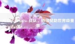 成立 GAN Gurus 战队，持续赞助世界级赛事