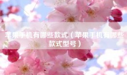 苹果手机有哪些款式（苹果手机有哪些款式型号）