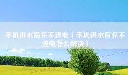 手机进水后充不进电（手机进水后充不进电怎么解决）