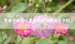 苹果手机拍（苹果手机拍照黑乎乎的）