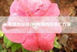 电商网站推广_电商网站推广方案