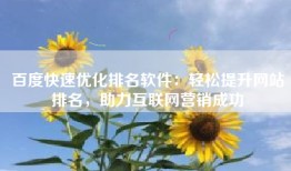 百度快速优化排名软件：轻松提升网站排名，助力互联网营销成功