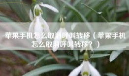 苹果手机怎么取消呼叫转移（苹果手机怎么取消呼叫转移？）
