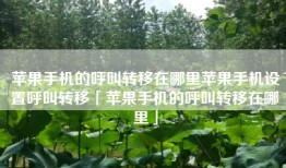 苹果手机的呼叫转移在哪里苹果手机设置呼叫转移「苹果手机的呼叫转移在哪里」