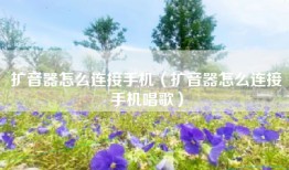 扩音器怎么连接手机（扩音器怎么连接手机唱歌）