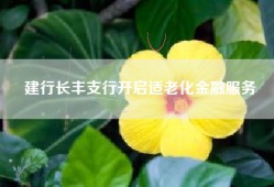 建行长丰支行开启适老化金融服务