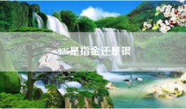 925是指金还是银
