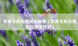 苹果手机应用锁在哪里（苹果手机应用锁在哪里找到）