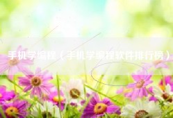 手机学编程（手机学编程软件排行榜）