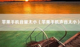 苹果手机音量太小（苹果手机声音太小）