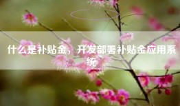 什么是补贴金，开发部署补贴金应用系统