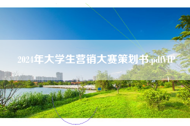 2024年大学生营销大赛策划书.pdfVIP
