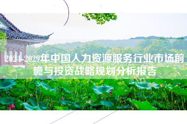 2024-2029年中国人力资源服务行业市场前瞻与投资战略规划分析报告