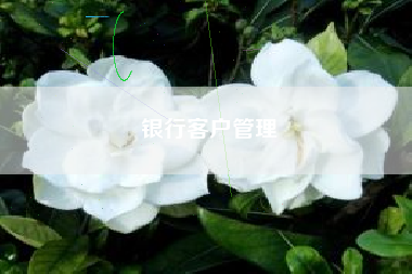银行客户管理