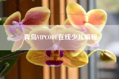 青岛VIPCODE在线少儿编程