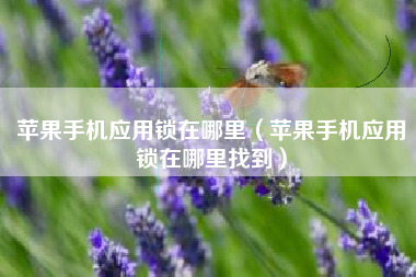 苹果手机应用锁在哪里（苹果手机应用锁在哪里找到）