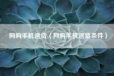 网购手机退货（网购手机退货条件）