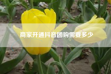 商家开通抖音团购需要多少