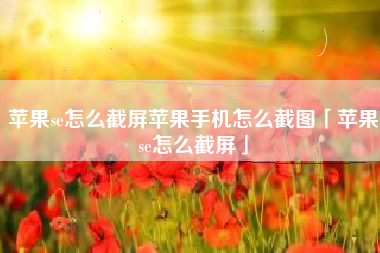 苹果se怎么截屏苹果手机怎么截图「苹果se怎么截屏」