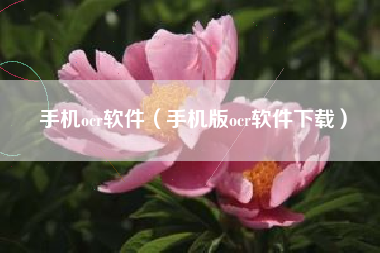手机ocr软件（手机版ocr软件下载）