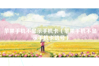 苹果手机不显示手机卡（苹果手机不显示手机卡信号）