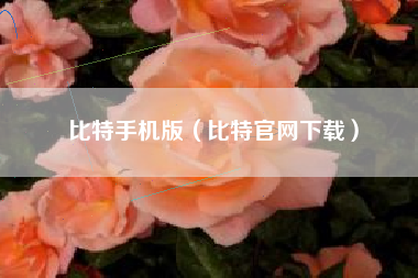 比特手机版（比特官网下载）