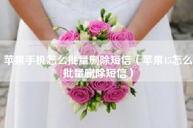 苹果手机怎么批量删除短信（苹果15怎么批量删除短信）