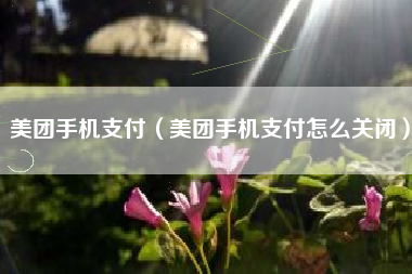 美团手机支付（美团手机支付怎么关闭）