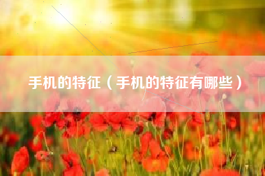 手机的特征（手机的特征有哪些）