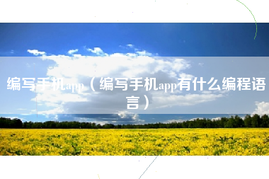 编写手机app（编写手机app有什么编程语言）