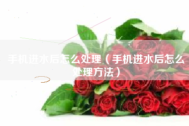 手机进水后怎么处理（手机进水后怎么处理方法）