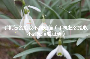 手机怎么接收不到短信（手机怎么接收不到短信验证码）