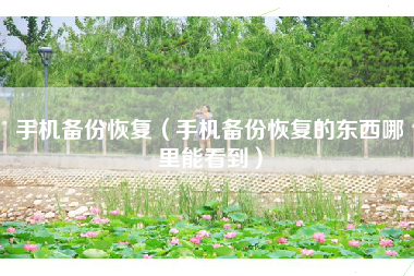 手机备份恢复（手机备份恢复的东西哪里能看到）