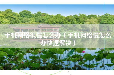 手机网络很慢怎么办（手机网络慢怎么办快速解决）
