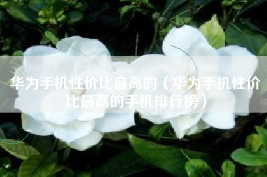 华为手机性价比最高的（华为手机性价比最高的手机排行榜）