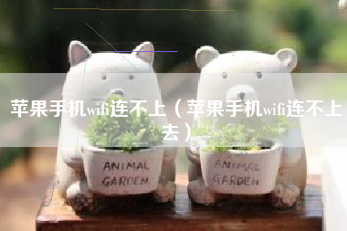 苹果手机wifi连不上（苹果手机wifi连不上去）