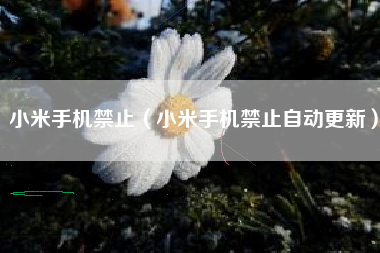 小米手机禁止（小米手机禁止自动更新）