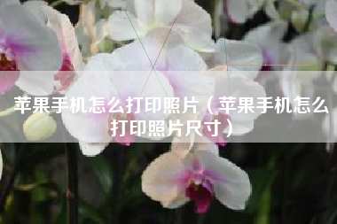 苹果手机怎么打印照片（苹果手机怎么打印照片尺寸）