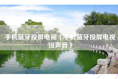 手机蓝牙投屏电视（手机蓝牙投屏电视没声音）