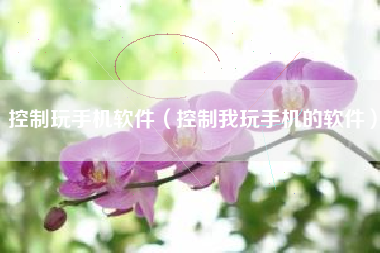 控制玩手机软件（控制我玩手机的软件）